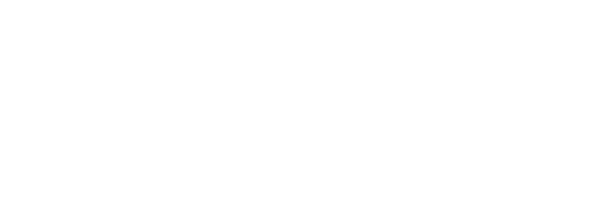 Disaster Congress Logo